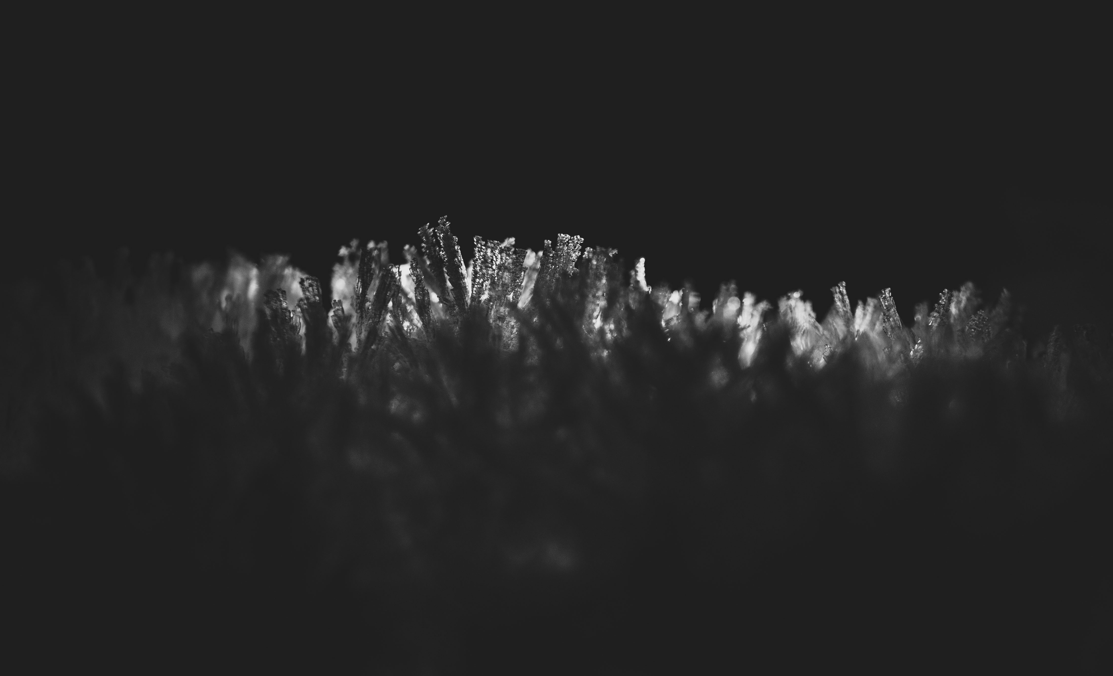 ice crystals in black and white